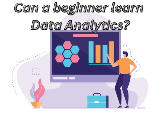 Read more about the article Can a beginner learn data analytics?
